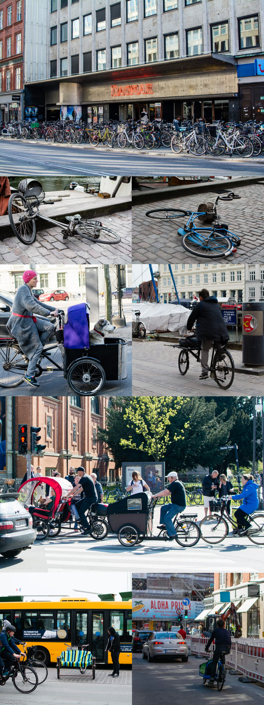 Bikes in Copenhagen